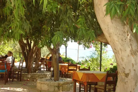 Polyrizos (Polyrisos) in Aνω Ρoδάκινo — foto 3