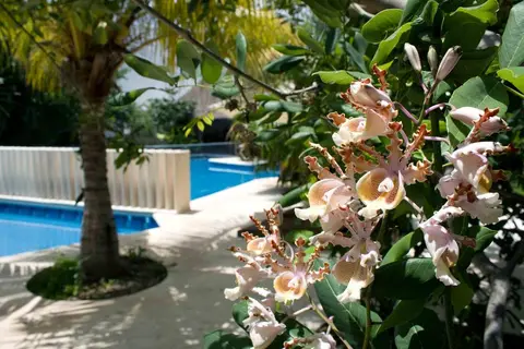 Sotavento Hotel & Yacht Club in Cancùn — foto 4