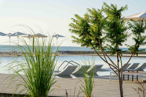 HVD Reina del Mar foto 13