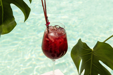 Domes Aulus Zante, Autograph Collection foto 12