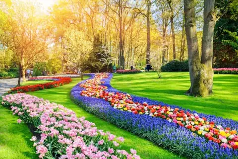 Hotel Lowietje Lisse - Keukenhof in Lisse — foto 20