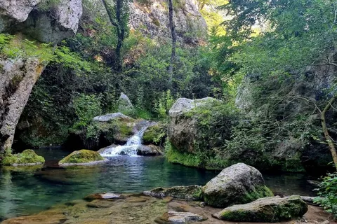 Camping Les Chênes Blancs foto 25