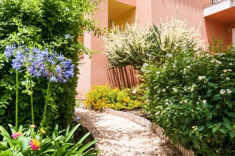 Jardim da Meia Praia in Lagos — foto 10