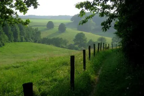 Bungalowpark Landsrade foto 20