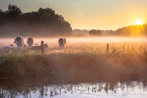 Erve Hulsbeek foto 20