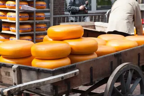 Hotel Zeebergen foto 31