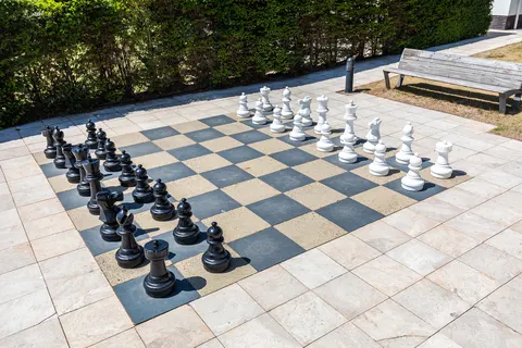 Noordwijkse Duinen foto 18