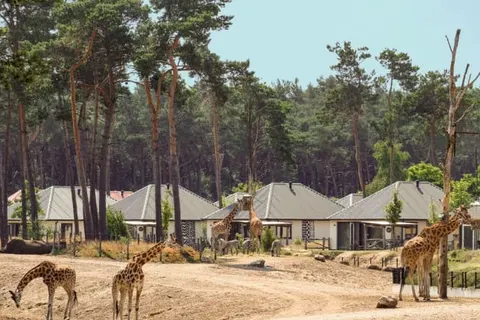 Safari Resort Beekse Bergen foto 4