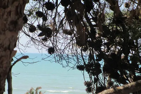 Bel Conti Hotel in Durres — foto 10
