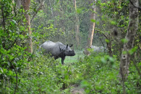 16-daagse rondreis Indrukwekkend Nepal in Sunkoshi — foto 3