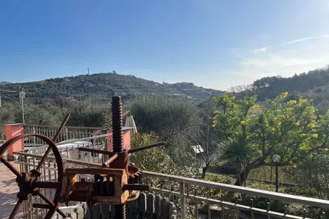 Agriturismo Le Mimose foto 6