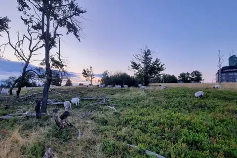 Hotel Haus Andrea foto 15