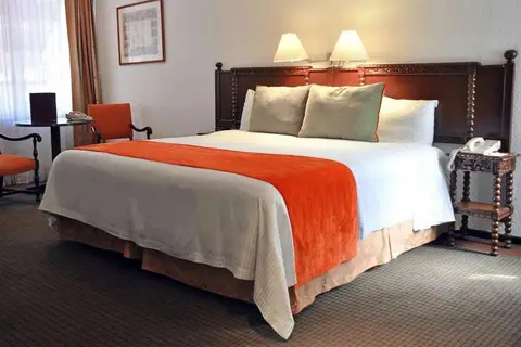 Hotel Geneve Mexico City in Ciudad de México, foto 3
