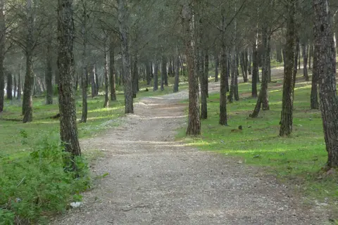 La Sierrecilla in Humilladero — foto 9