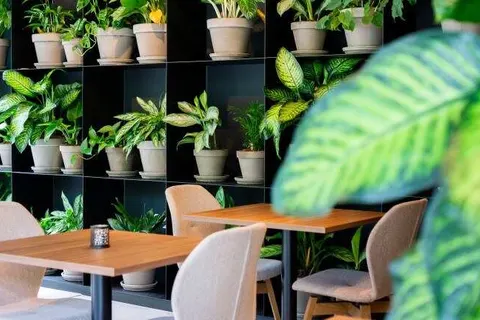 Hotel Kontakt der Kontinenten foto 20