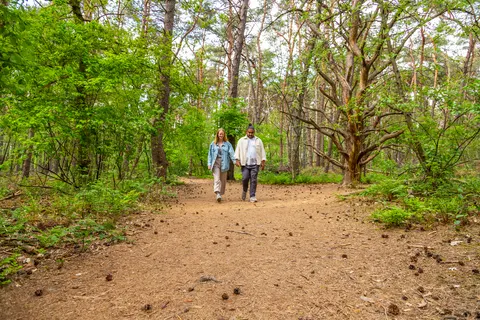 Vakantiepark De Wije Werelt foto 9