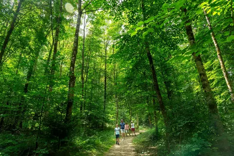 Camping hu Birkelt Village in Larochette — foto 23