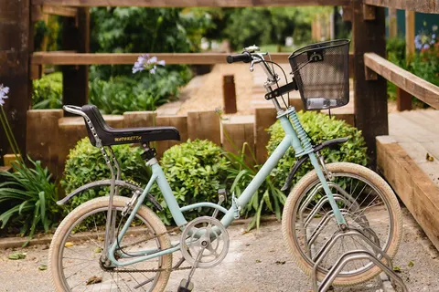 Camping Miramar foto 13