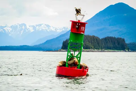 Cruise Alaska in Cruisereizen, foto 5