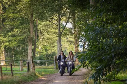 De Boshoek in Voorthuizen — foto 2