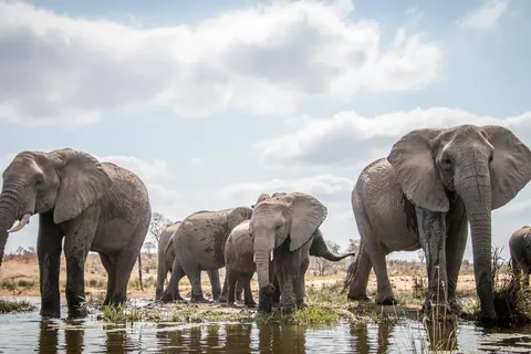 Het Beste van het Zuiden: Wijn- en Tuinroute in Pretoria — foto 9