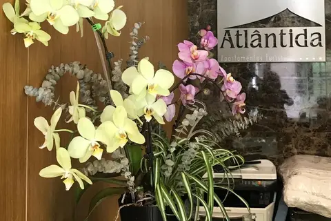 Atlântida Apartamentos Turisticos in Funchal, foto 13