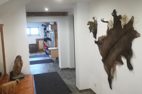 Appartementen Höllwarth foto 10