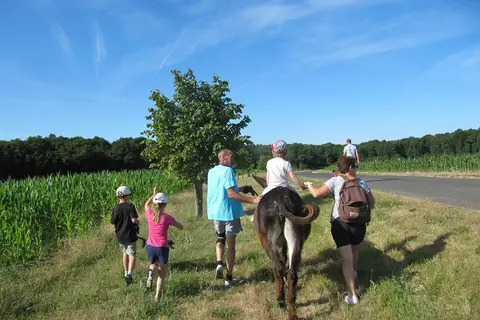 Ferme Pédagogique De Prunay in Valloire-sur-Cisse — foto 4