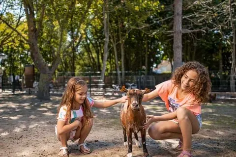 Center Parcs Park de Haan foto 33