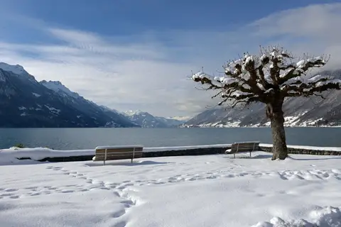 Hotel Brienz in Brienz BE — foto 4
