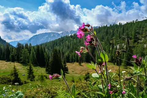 Ontdek Lofer in het Salzburgerland foto 17