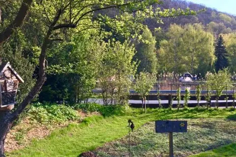 Flux - Biohotel im Werratal foto 18