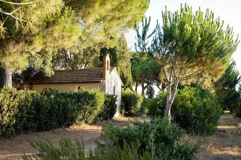 La Canova in Grosseto — foto 9