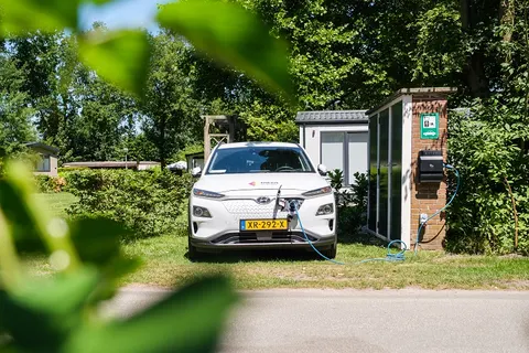 Camping De Pallegarste foto 27