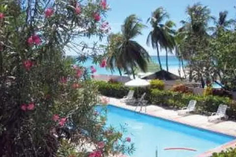 Butterfly Beach Hotel in Christchurch — foto 3