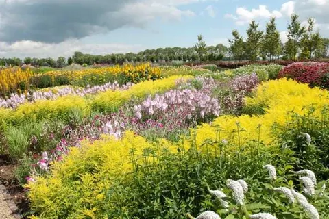 Hotel Umberto foto 25