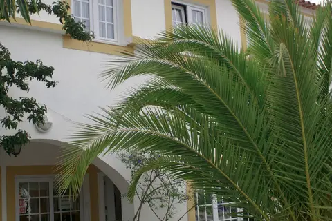 Quinta Do Moinho De Vento in Odemira — foto 10