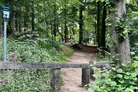 Boetiek Hotel De Roode Leeuw foto 28