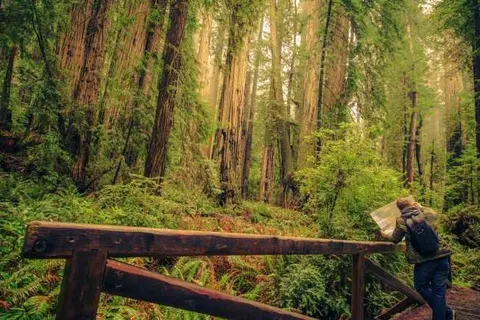 Hotel & Restaurant Aux Tanneries de Wiltz foto 21