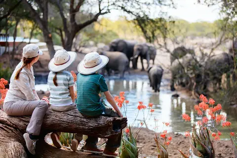 Kaapse Familievakantie in Zuidelijk Zuid-Afrika, Tuinroute, Wijnroute en de Kaap — foto 12