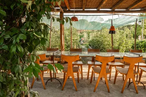 Hotel Ekies All Senses Resort in Sithonia Municipal Unit, foto 9