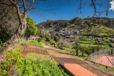 Quinta da Serra - Bio Hotel in Jardim da Serra, Madeira, Portugal, foto 16