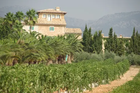 Sa Cabana Hotel Rural & SPA in Sigüenza — foto 29