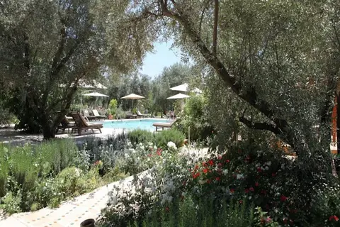 Riad Cle de Sol in Boumerieme بومريم — foto 22