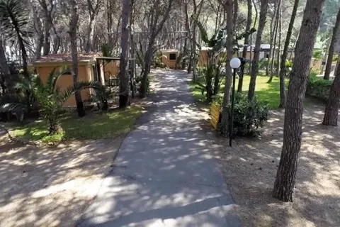 Camping La Vecchia Torre foto 15