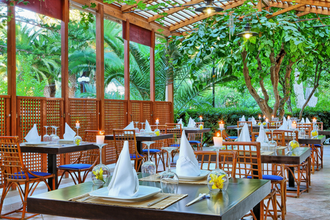 Hotel Apollonia Beach Resort & Spa foto 9