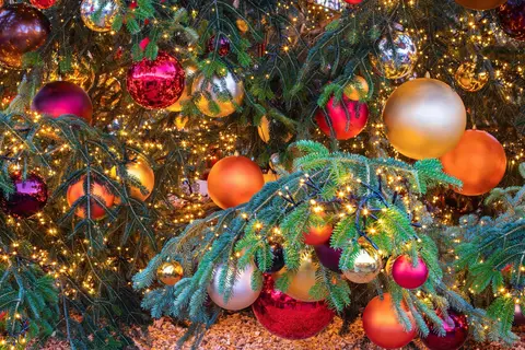 Kerstmarktcruise Keulen en Bonn met mps Rembrandt van Rijn in Stendal — foto 9