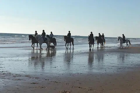 Taïga Conil in Conil de la Frontera — foto 16