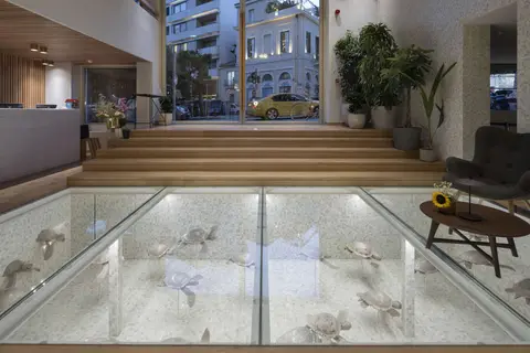 Coco-Mat Athens BC in Athene — foto 19