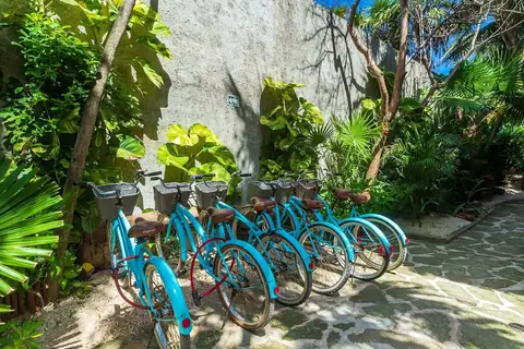 Villa Pescadores in Rio Lagartos, foto 8